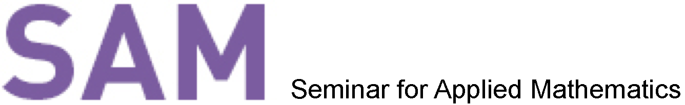 Seminar for Applied Mathematics